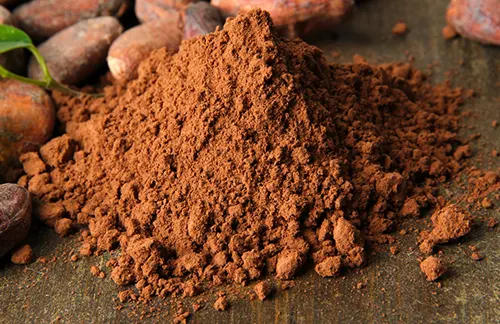 Fèves de cacao en poudre